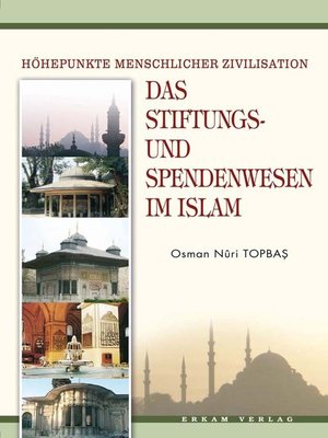 cover image of Das Stıftungs